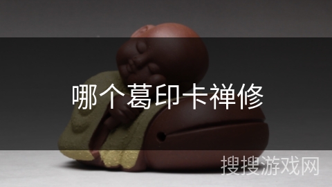 哪个葛印卡禅修