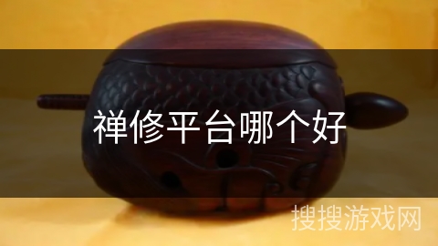 禅修平台哪个好