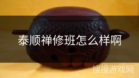 泰顺禅修班怎么样啊