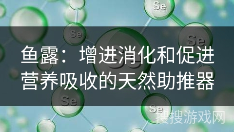鱼露：增进消化和促进营养吸收的天然助推器