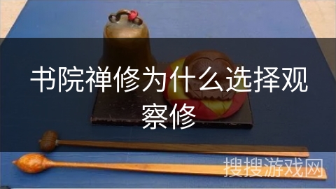 书院禅修为什么选择观察修