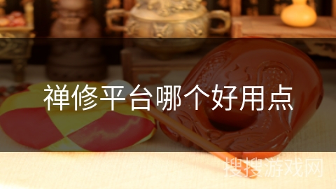 禅修平台哪个好用点