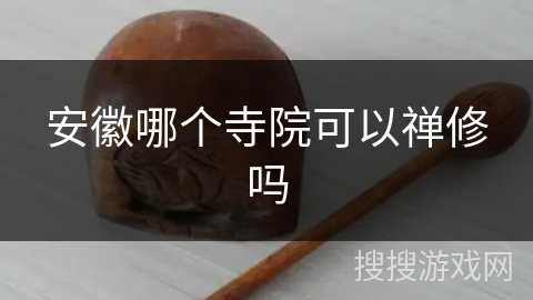 安徽哪个寺院可以禅修吗