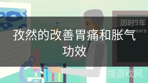 孜然的改善胃痛和胀气功效