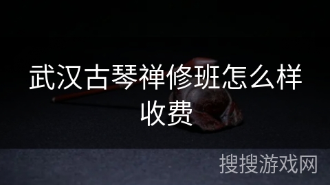 武汉古琴禅修班怎么样收费