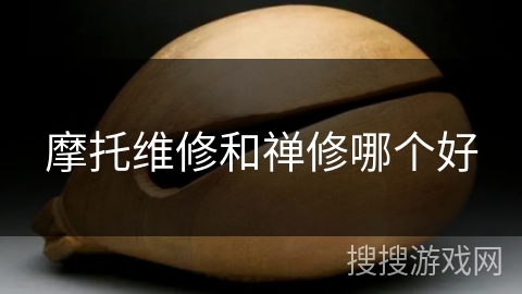 摩托维修和禅修哪个好