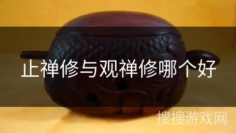 止禅修与观禅修哪个好