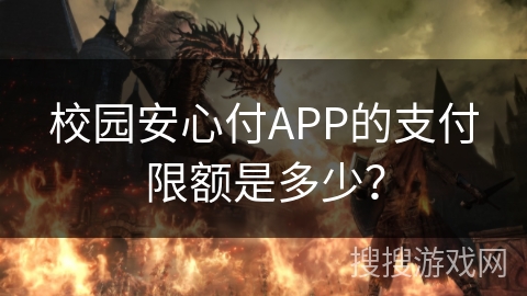 校园安心付APP的支付限额是多少？