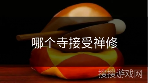 哪个寺接受禅修