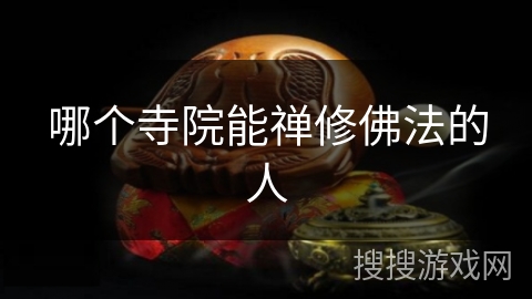 哪个寺院能禅修佛法的人