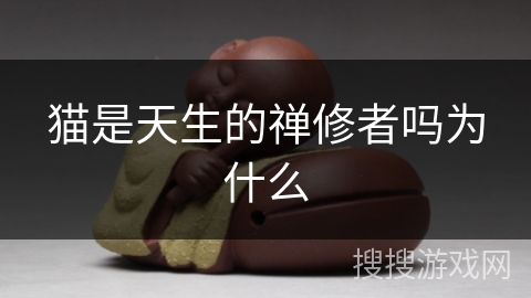 猫是天生的禅修者吗为什么