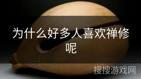 为什么好多人喜欢禅修呢