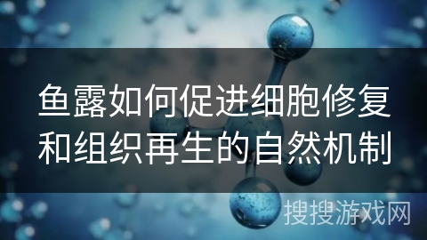 鱼露如何促进细胞修复和组织再生的自然机制
