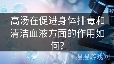 高汤在促进身体排毒和清洁血液方面的作用如何？