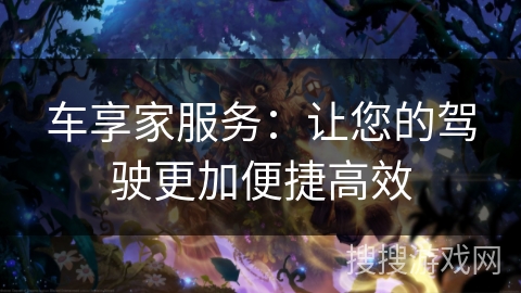 车享家服务：让您的驾驶更加便捷高效