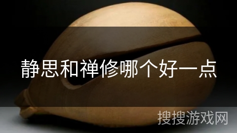 静思和禅修哪个好一点