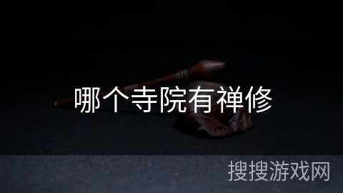 哪个寺院有禅修