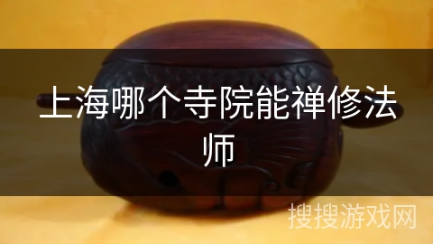 上海哪个寺院能禅修法师