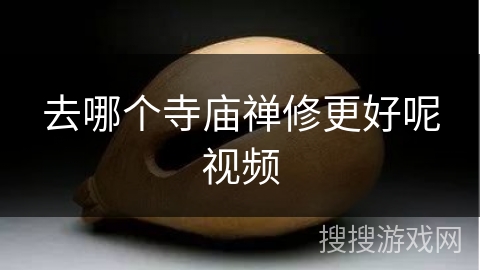 去哪个寺庙禅修更好呢视频