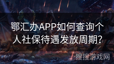 鄂汇办APP如何查询个人社保待遇发放周期？