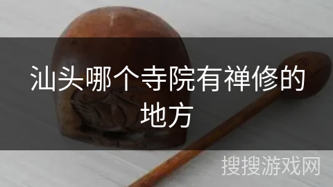 汕头哪个寺院有禅修的地方