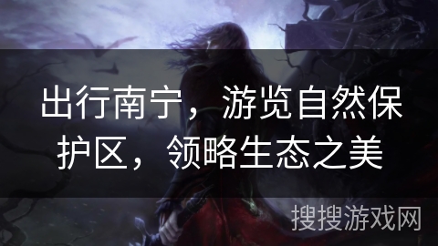 出行南宁，游览自然保护区，领略生态之美