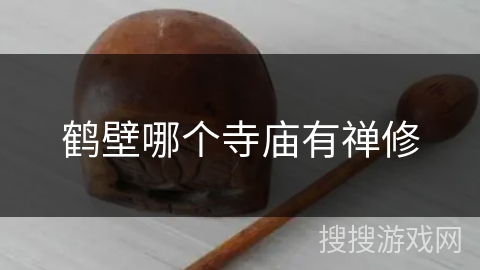 鹤壁哪个寺庙有禅修