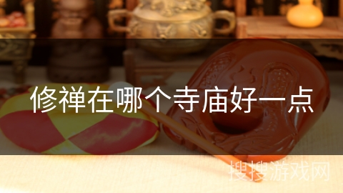 修禅在哪个寺庙好一点