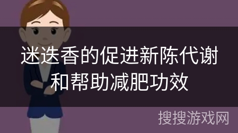 迷迭香的促进新陈代谢和帮助减肥功效