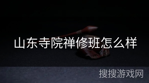 山东寺院禅修班怎么样