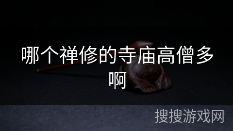 哪个禅修的寺庙高僧多啊