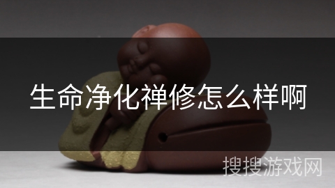 生命净化禅修怎么样啊