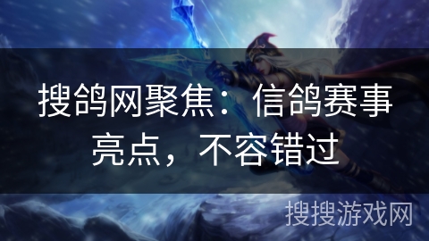 搜鸽网聚焦:信鸽赛事亮点,不容错过 搜鸽网聚焦:信鸽赛事亮点,不容错过