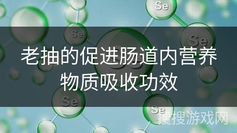 老抽的促进肠道内营养物质吸收功效