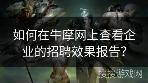 如何在牛摩网上查看企业的招聘效果报告？