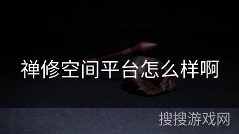 禅修空间平台怎么样啊