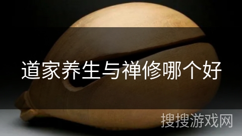 道家养生与禅修哪个好