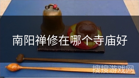 南阳禅修在哪个寺庙好