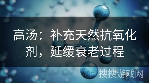 高汤：补充天然抗氧化剂，延缓衰老过程