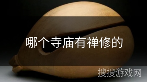 哪个寺庙有禅修的