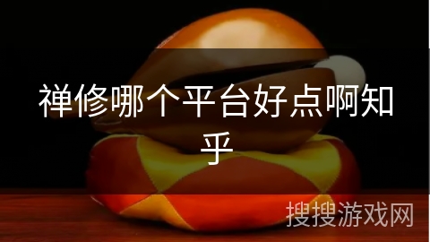 禅修哪个平台好点啊知乎