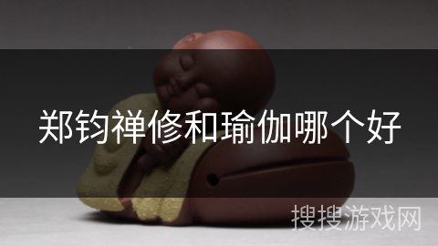 郑钧禅修和瑜伽哪个好