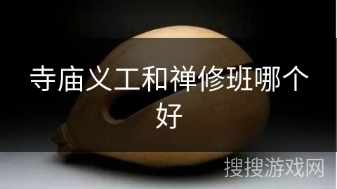 寺庙义工和禅修班哪个好