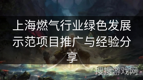上海燃气行业绿色发展示范项目推广与经验分享