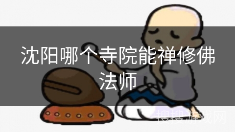 沈阳哪个寺院能禅修佛法师