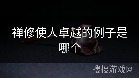 禅修使人卓越的例子是哪个