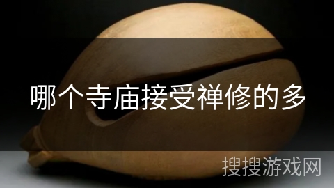 哪个寺庙接受禅修的多