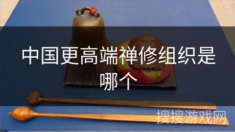 中国更高端禅修组织是哪个