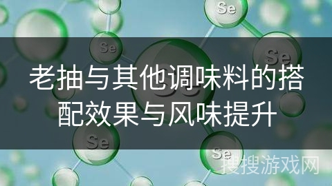 老抽与其他调味料的搭配效果与风味提升