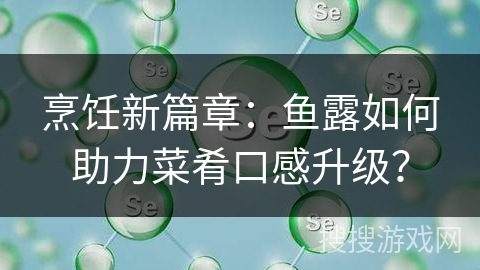 烹饪新篇章：鱼露如何助力菜肴口感升级？